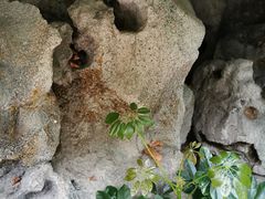 -盛泰恐龙谷温泉