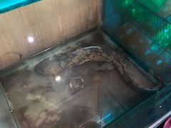 -畲乡一品鱼府土菜馆