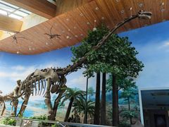 -延庆地质公园博物馆