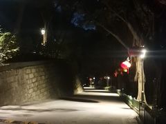 -金鸡山公园