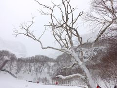 -长白山聚龙火山温泉