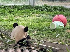 -西安秦岭野生动物园