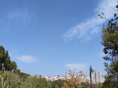 -新江湾城公园