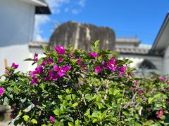 -瑞丰园庭院餐厅·白族传统家常菜