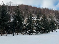 -密苑云顶乐园(云顶滑雪场)