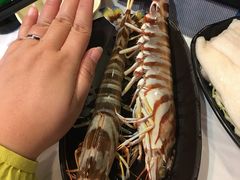 -鲜入围煮花胶鸡海鲜火锅