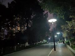 -重庆彩云湖湿地公园