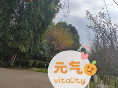-昆明动物园