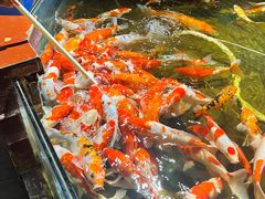 -太平洋海底世界