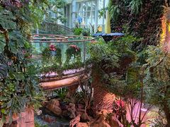 -正佳雨林生态植物园