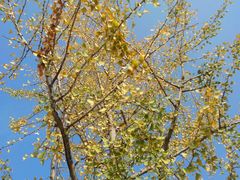 -海景壹号大酒店(滨湖店)