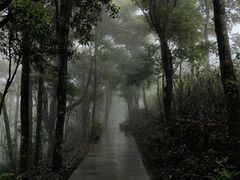 -梧桐山风景名胜区