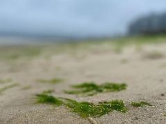 -那香海钻石沙滩浴场