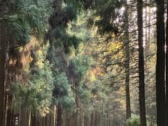 -山王坪喀斯特国家生态公园