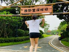 -美的鹭湖森林度假区