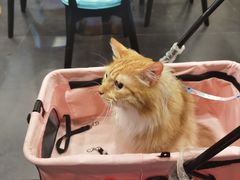 -东北农家小院(定西路店)