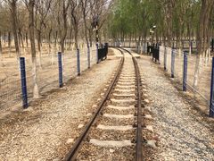 -西青郊野公园