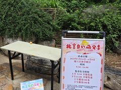 -北宫国家森林公园