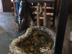 -明治屋(二十三年洪化桥店)