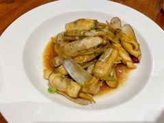 姜葱炒长街蛏子-宁海食府(天一阁望京店)