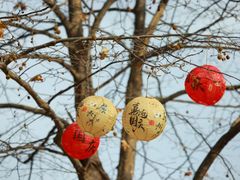 -洛阳白云山景区