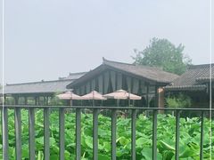 -莫催咖啡