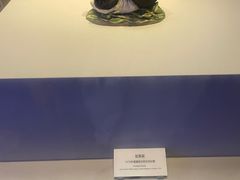 -桂林博物馆