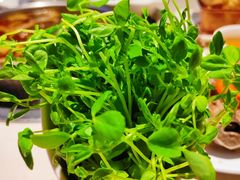 -浩爷羊蝎子火锅(望京店)