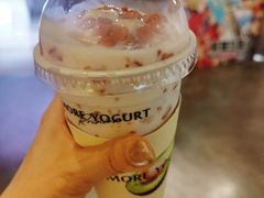 -茉酸奶(春熙路店)