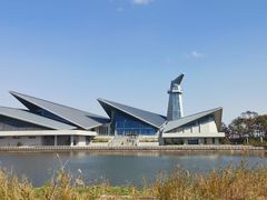 -盐城丹顶鹤湿地生态旅游区