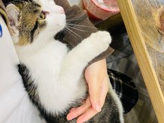 -五娃子烧烤(人民路150号院店)