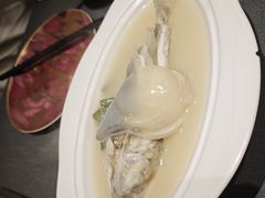 -沈灶河豚宴·河豚融合餐厅(汉中路店)