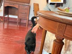 -春风十里咖啡馆