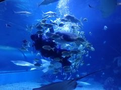 -左海海底世界