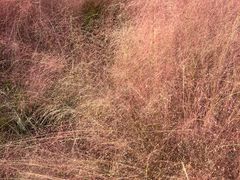-嘉北郊野公园