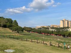 -红花山公园