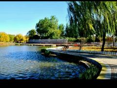 -上海长兴岛郊野公园