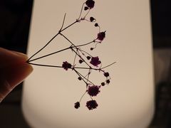 -广州花园酒店·凌璇阁旋转餐厅CAROUSEL360