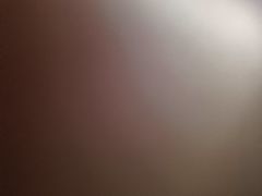 -上海和平饭店华懋阁 Cathay Room