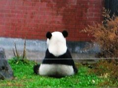 -哈尔滨北方森林动物园