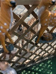 -萌宠亲子动物乐园(槐房万达店)