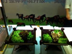 android_upload_pic-海德呼市酒店-理疗按摩