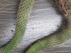 -广州四季酒店·天吧·高空酒吧