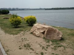 -丁香湖公园