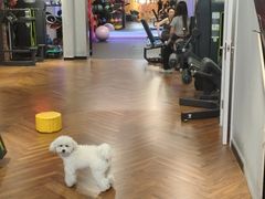 -NRG 健身私教CLUB(云山路店)