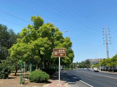 -白水寺森林公园