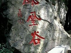 android_upload_pic-凤凰欢乐谷