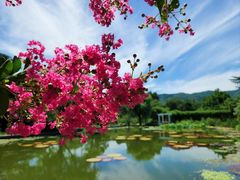-国家植物园南园