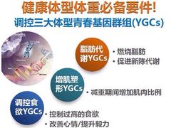 -上海跨国采购会展中心