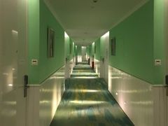 -深圳东部华侨城瀑布酒店